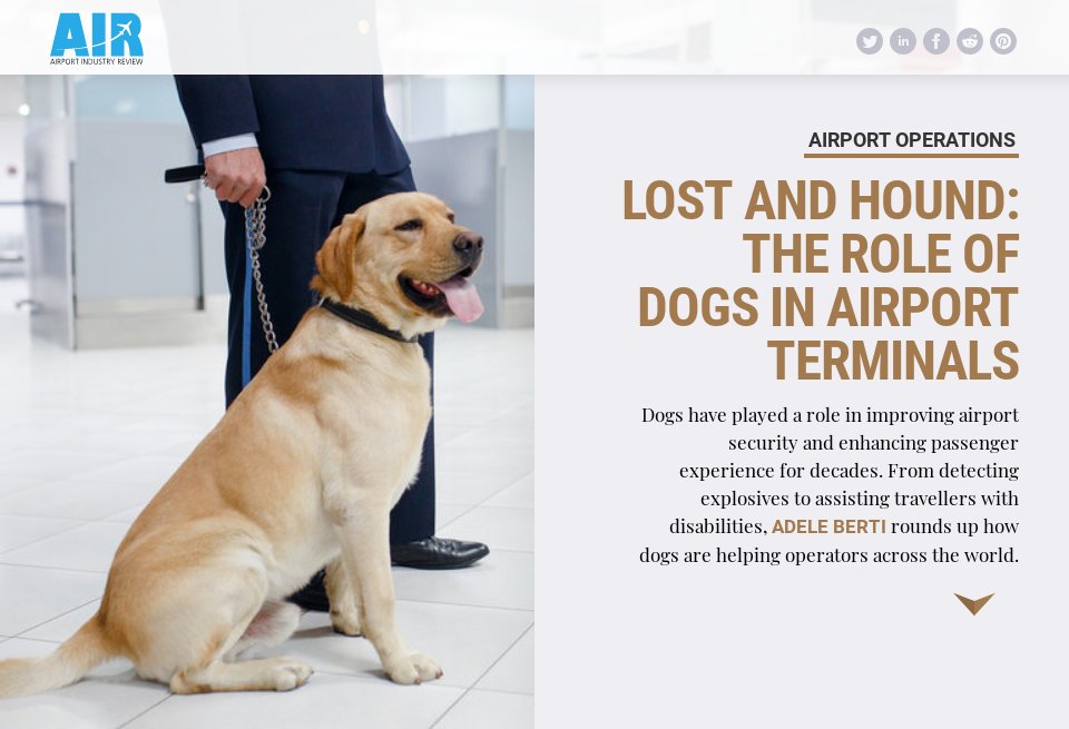 Lost and hound: the role of dogs in airport terminals - Airport Industry Review | Issue 54 | April 2020